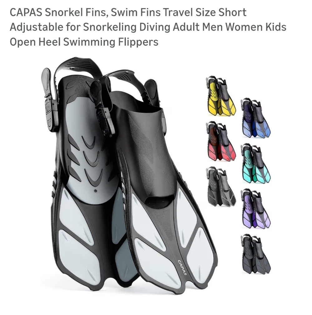 Black and Gray Snorkel Fins for Men